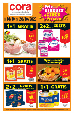 Catalogue 